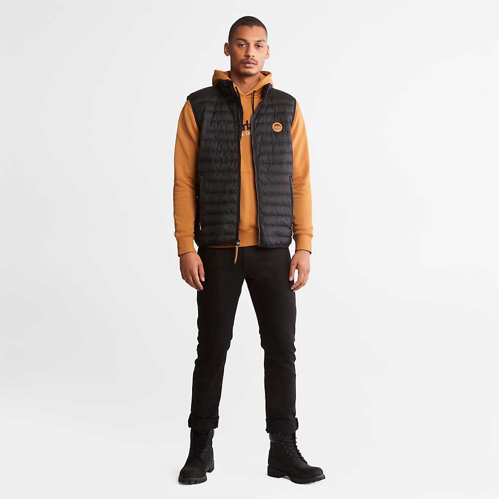 Men's Timberland Wind Water Earth And Sky Hoodie Brown | UAE-9635041