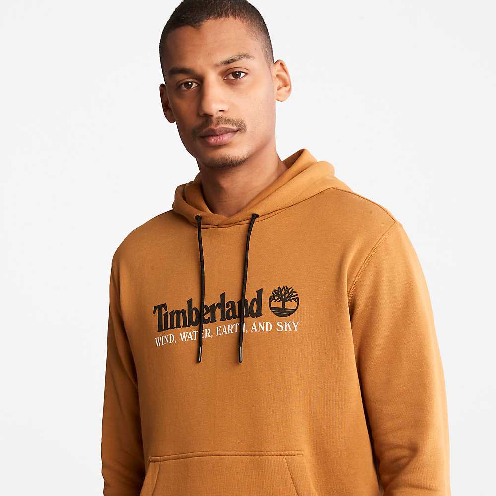 Men's Timberland Wind Water Earth And Sky Hoodie Brown | UAE-9635041