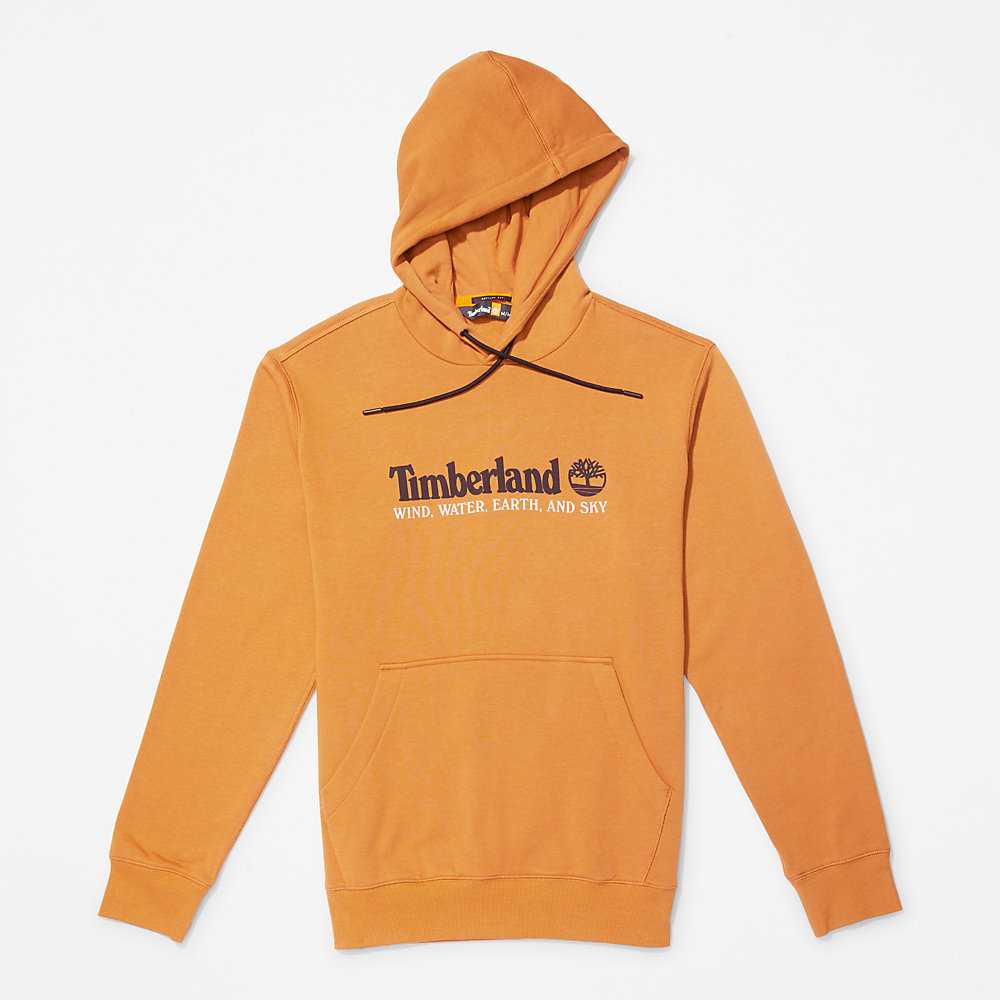 Men's Timberland Wind Water Earth And Sky Hoodie Brown | UAE-9635041