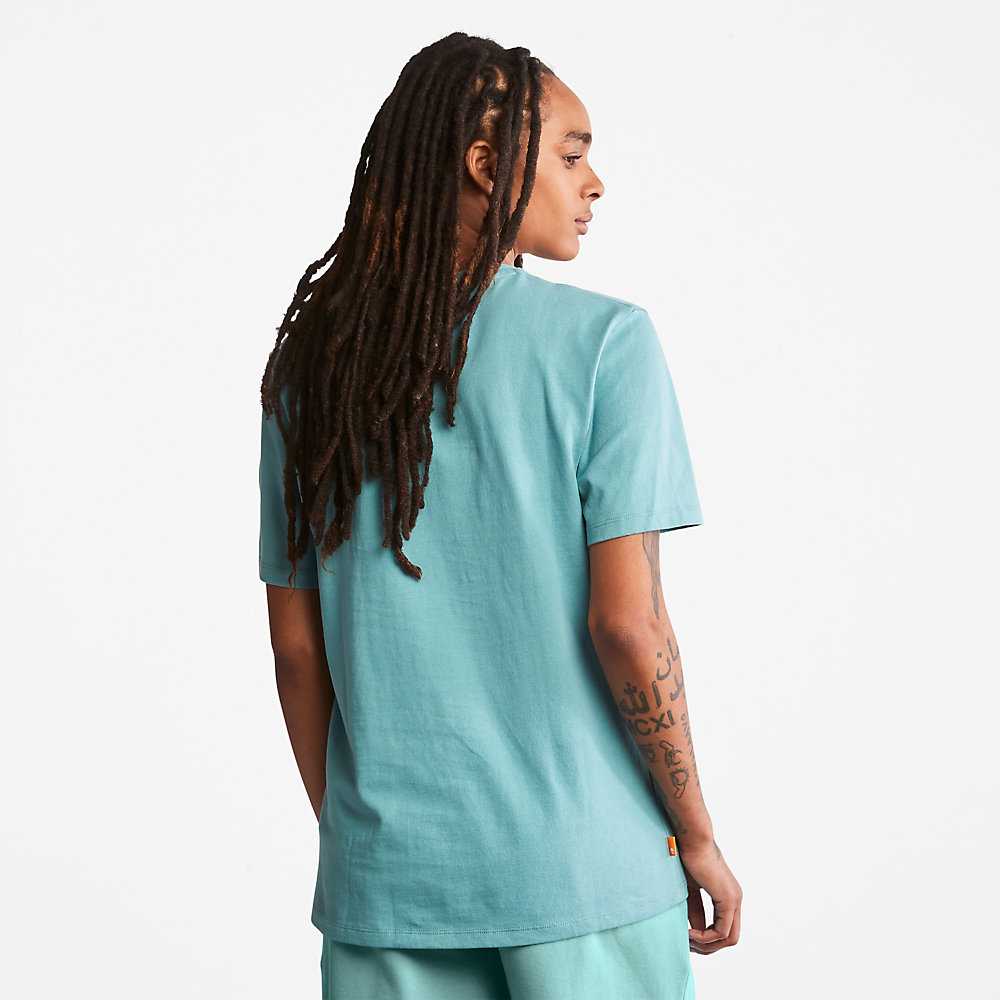 Women's Timberland All Gender Heavyweight Badge T Shirts Turquoise | UAE-7206834