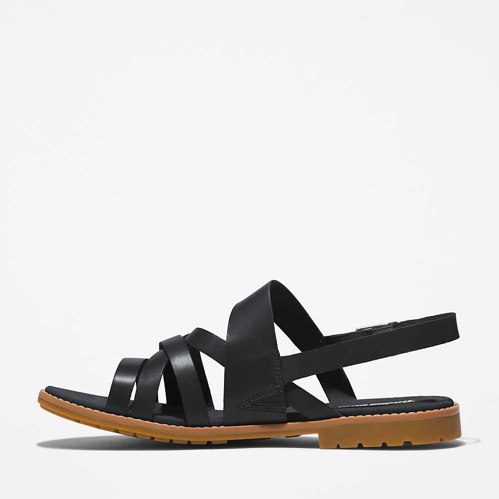 Women's Timberland Chicago Sandals Black | UAE-9165742