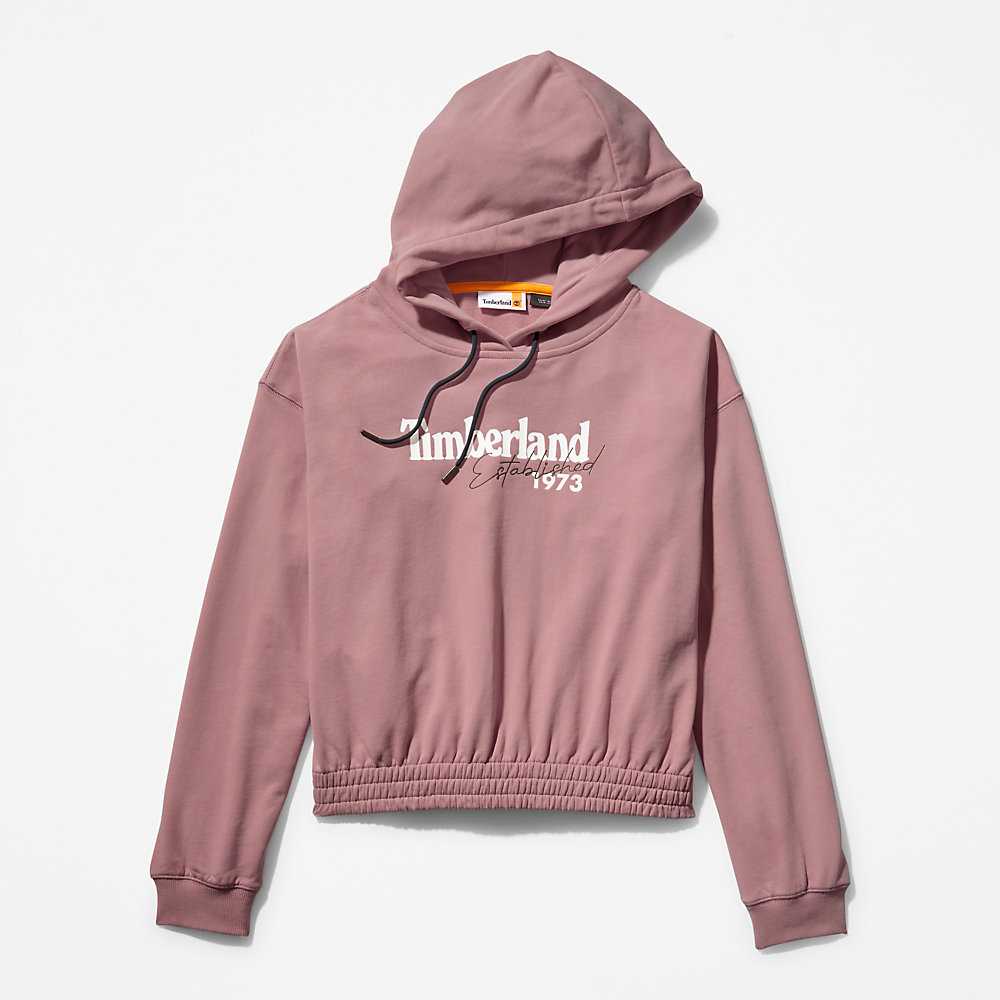 Women's Timberland Established 1973 Hoodie Pink | UAE-2819546