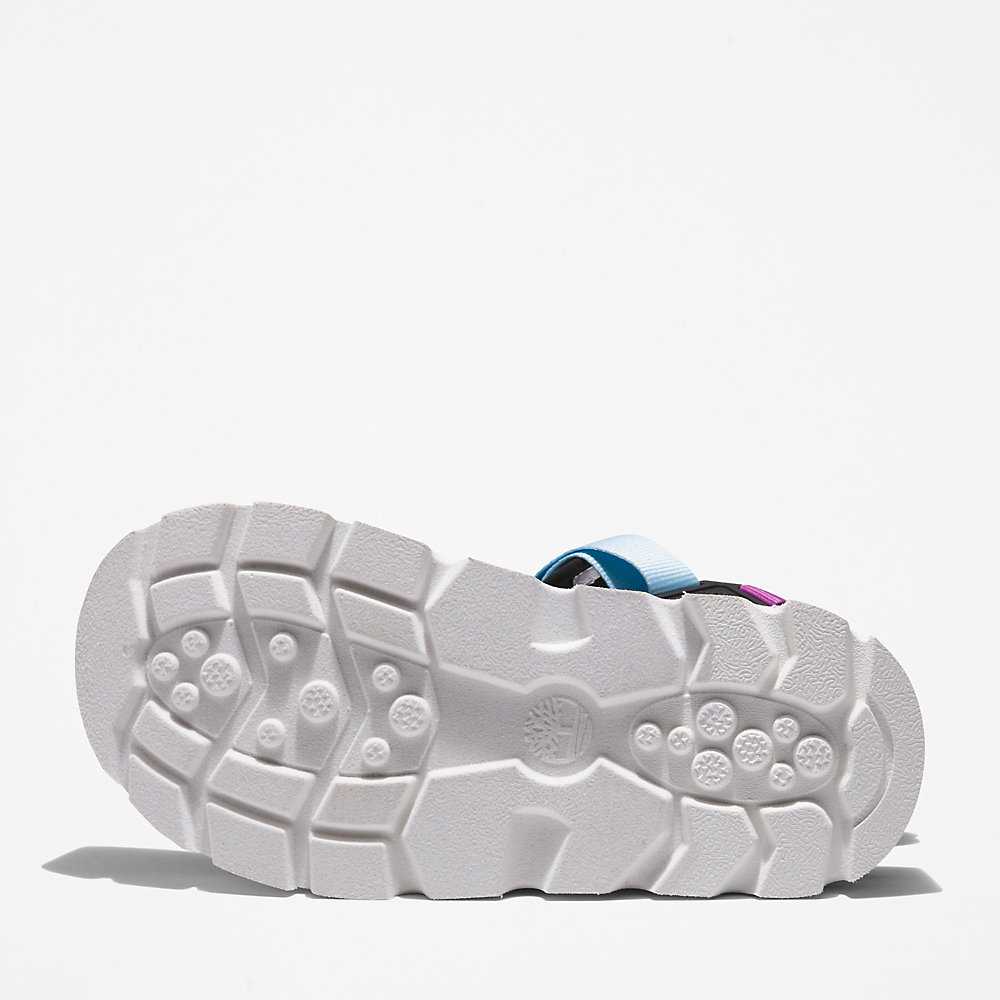 Women's Timberland Euro Swift Sandals Purple | UAE-5719230