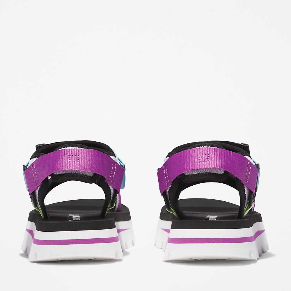 Women's Timberland Euro Swift Sandals Purple | UAE-5719230