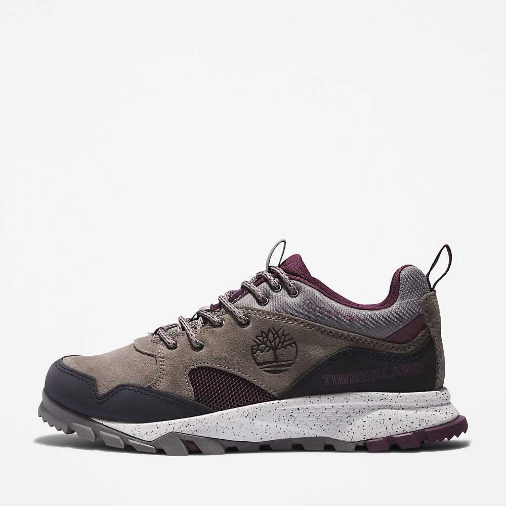 Women's Timberland Garrison Trail Sneakers Grey | UAE-4952163