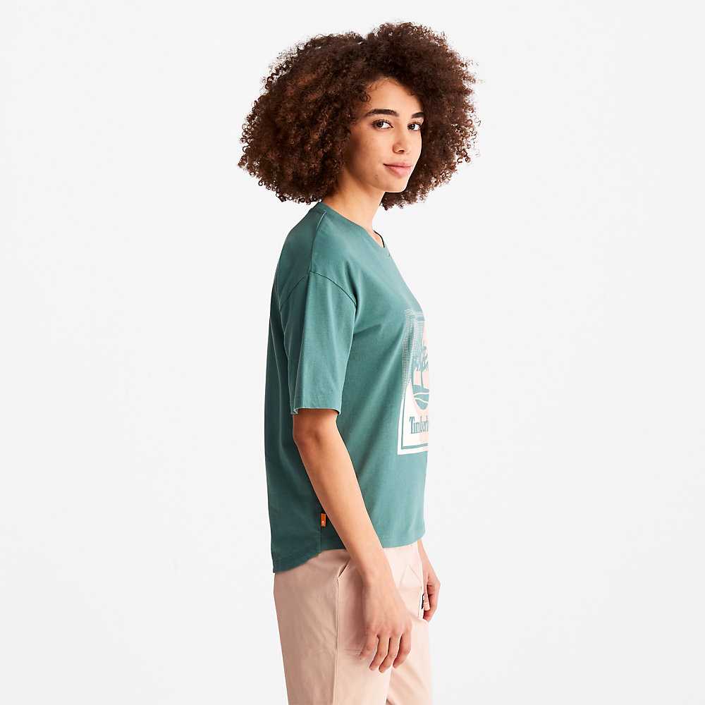 Women's Timberland Logo T Shirts Turquoise | UAE-4896705