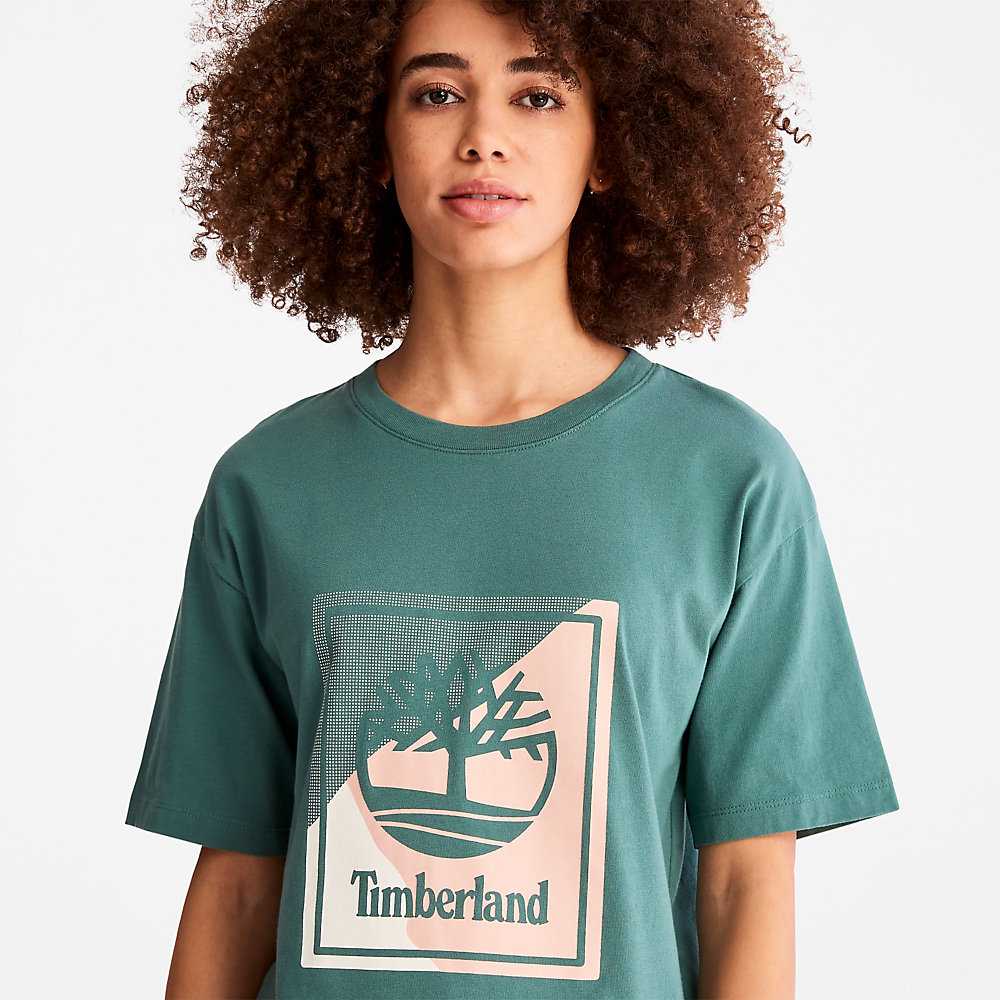 Women's Timberland Logo T Shirts Turquoise | UAE-4896705