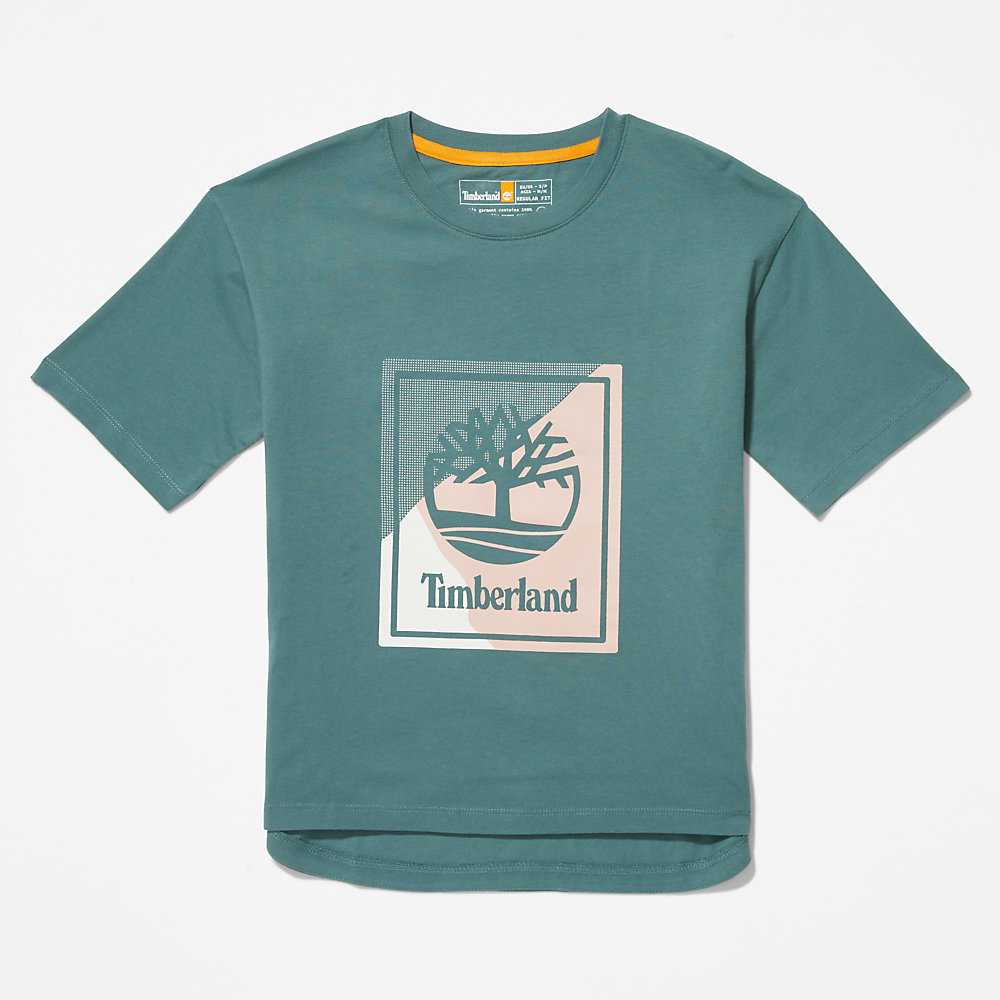 Women's Timberland Logo T Shirts Turquoise | UAE-4896705