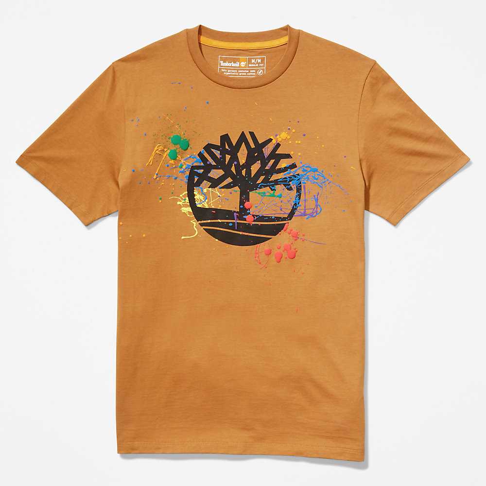 Women's Timberland Paint Pride T Shirts Brown | UAE-4796238