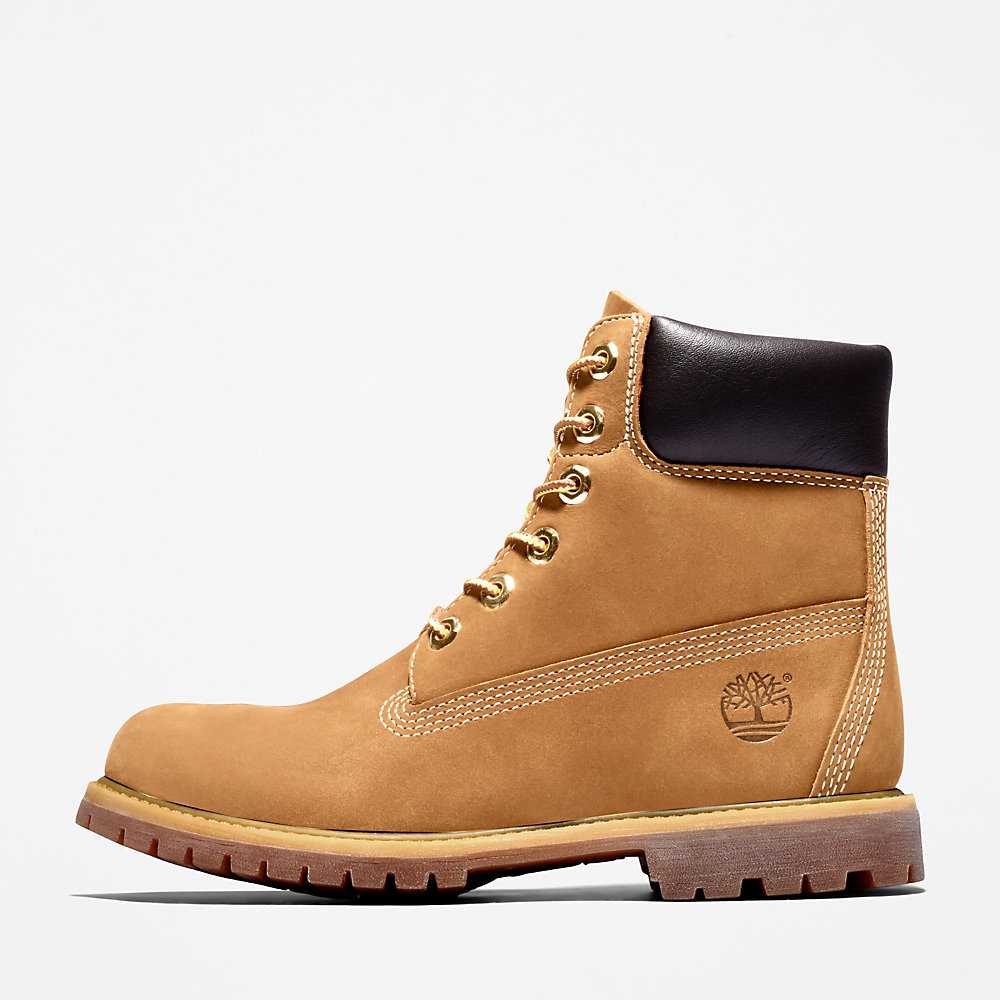 Women's Timberland Premium® 6 Inch Waterproof Boots Brown | UAE-0617589