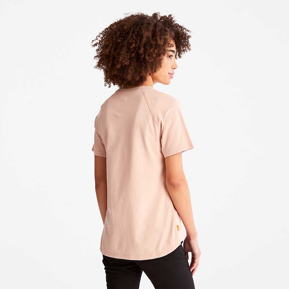 Women's Timberland Raglan-sleeve Logo T Shirts Pink | UAE-7192380