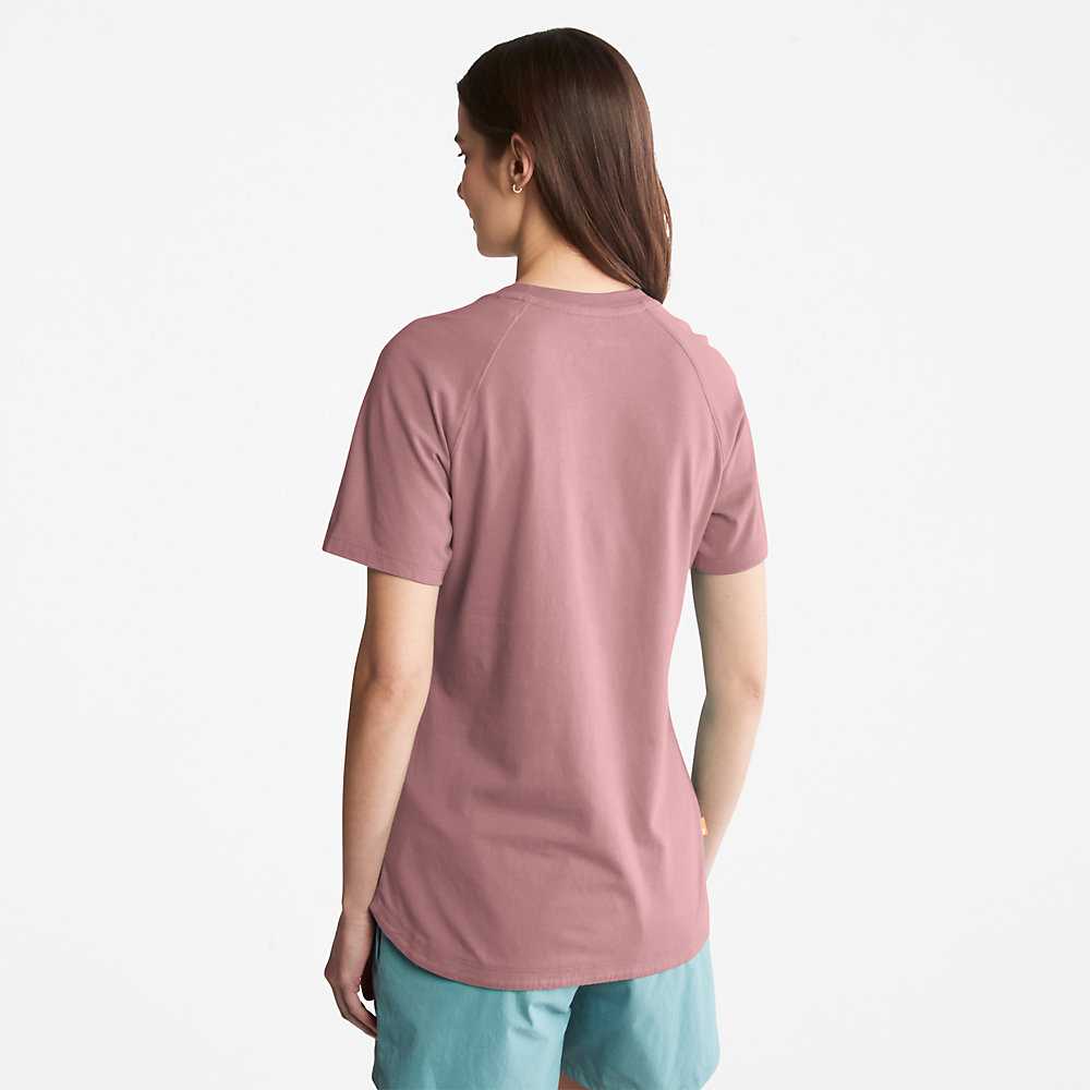 Women's Timberland Raglan-sleeve Logo T Shirts Pink | UAE-7594623