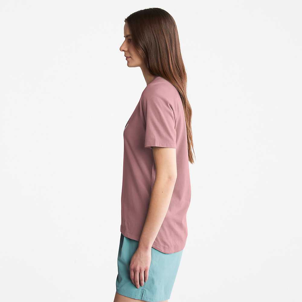 Women's Timberland Raglan-sleeve Logo T Shirts Pink | UAE-7594623