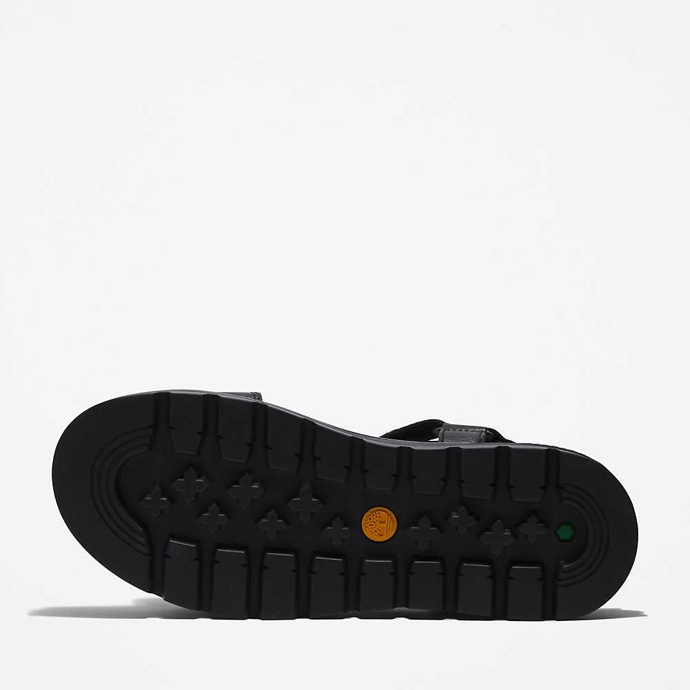 Women's Timberland Ray City Sandals Black | UAE-2498316