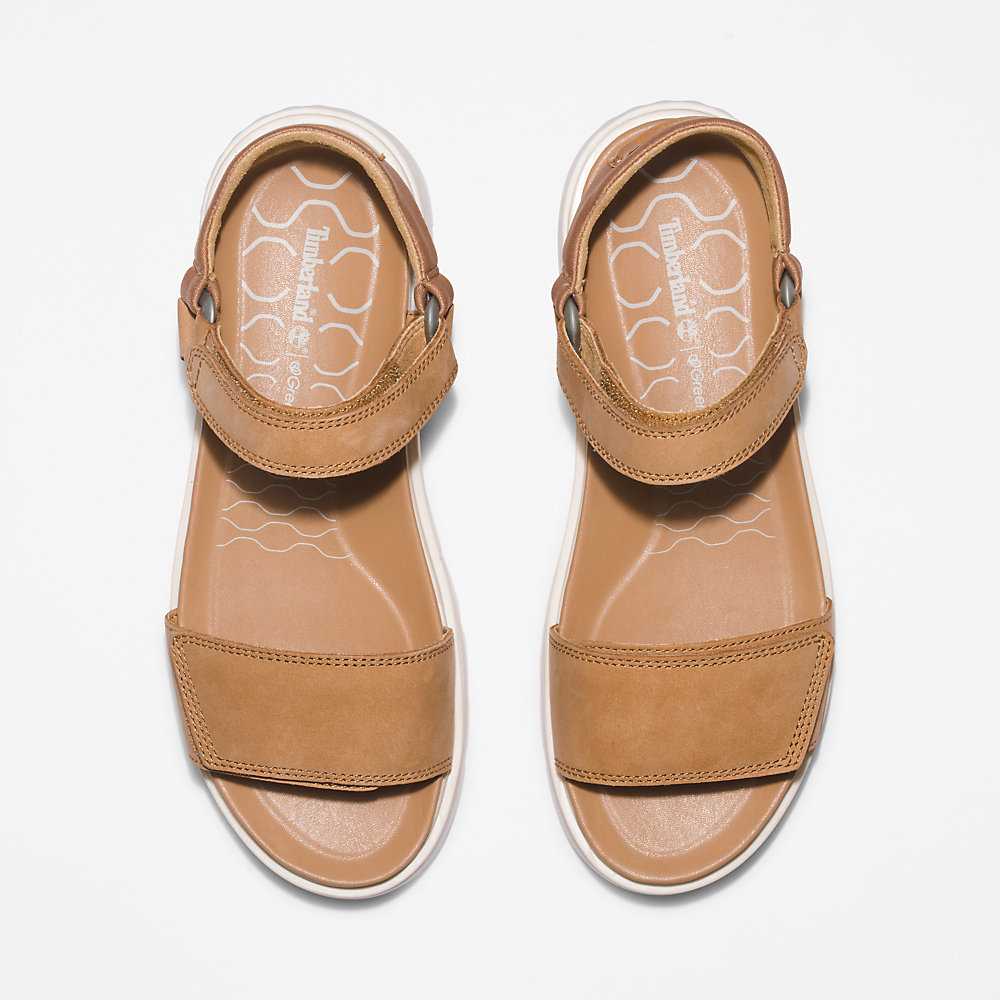 Women's Timberland Ray City Sandals Brown | UAE-9537402