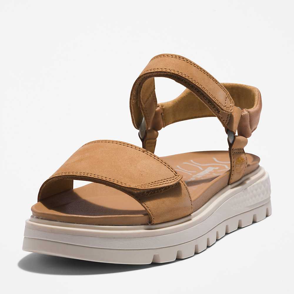 Women's Timberland Ray City Sandals Brown | UAE-9537402