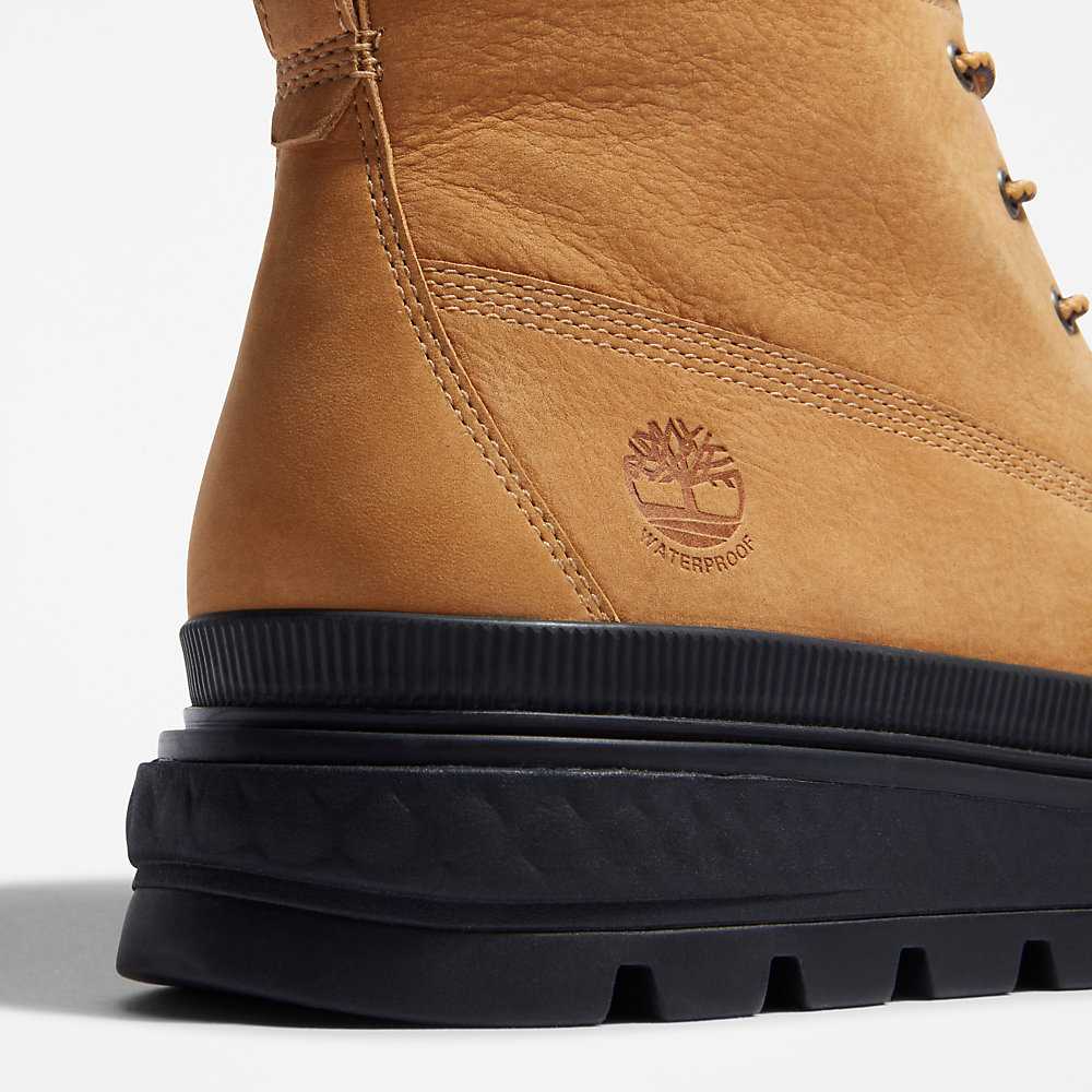 Women's Timberland Ray City Waterproof Boots Brown | UAE-5108396