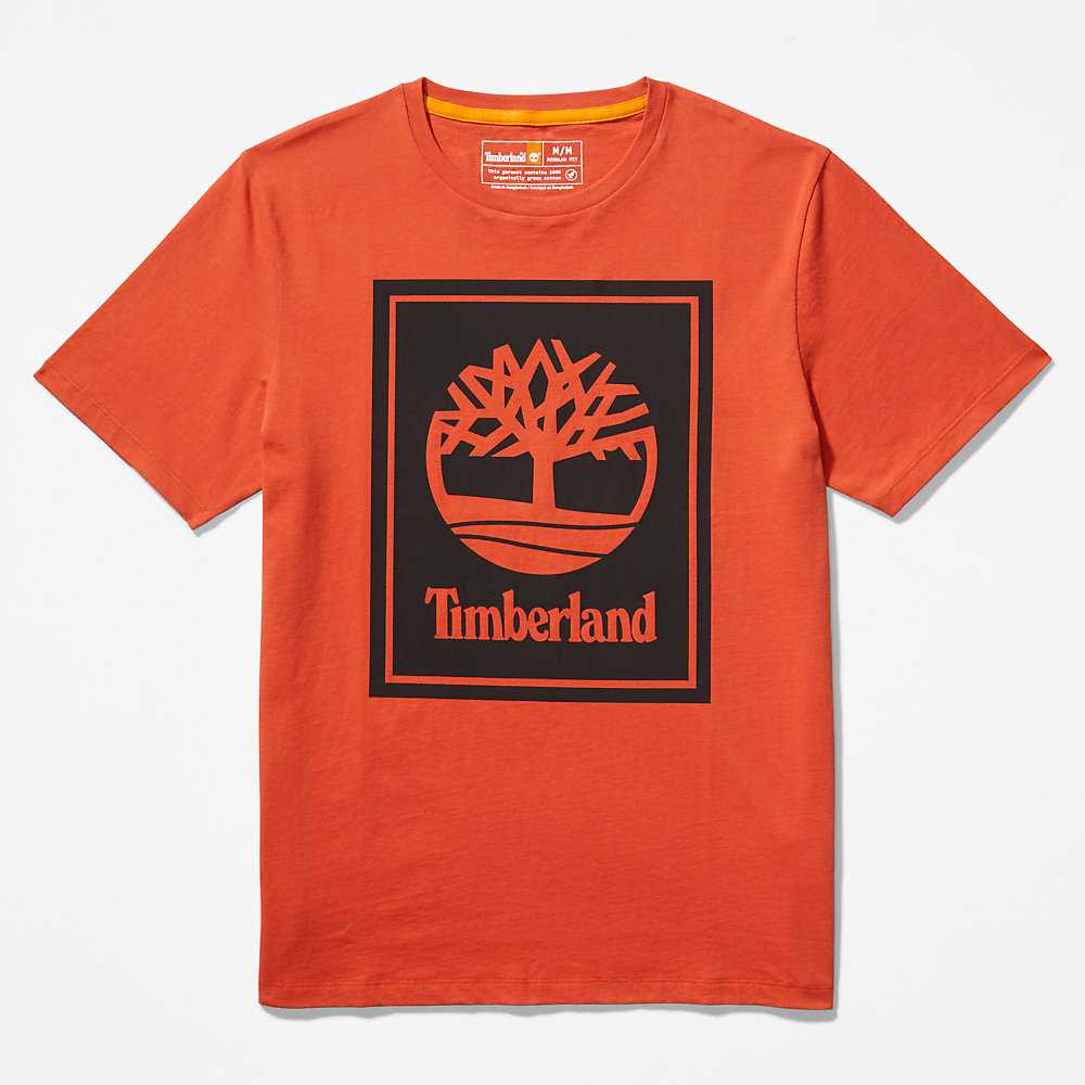 Women's Timberland Tree Logo T Shirts Orange | UAE-0749628