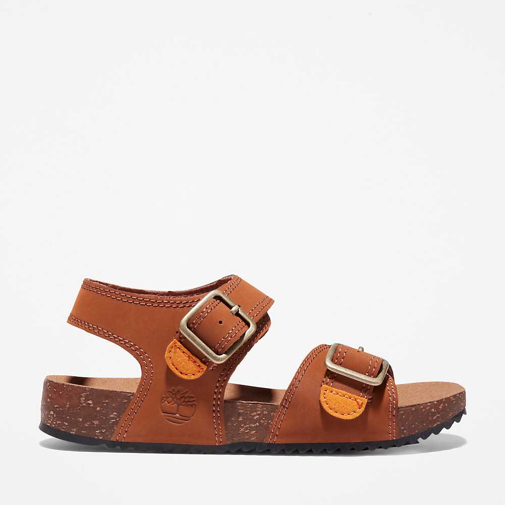 Kids' Timberland Castle Island Sandals Brown | UAE-7391582