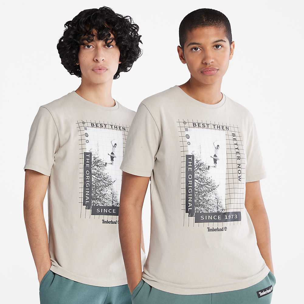 Men's Timberland All Gender Heavyweight Front-Graphic T Shirts Light Grey | UAE-4678135