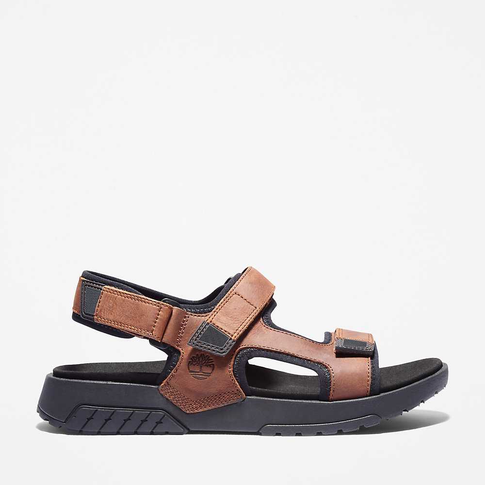 Men's Timberland Anchor Watch Sandals Brown | UAE-0543698