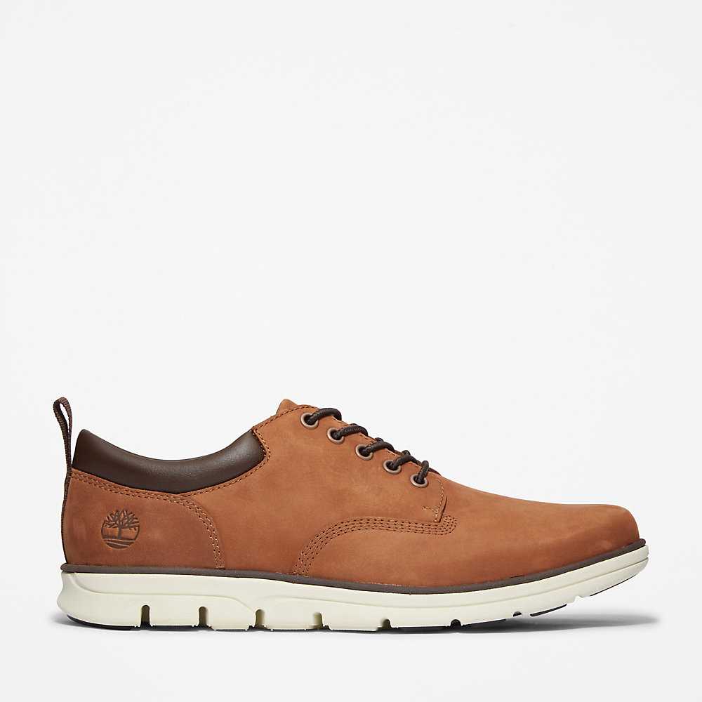 Men's Timberland Bradstreet Leather Oxfords Shoes Brown | UAE-7653210