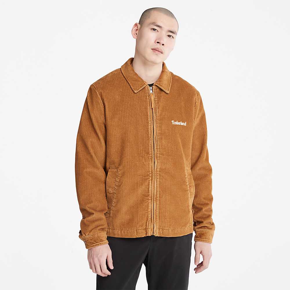 Men's Timberland Corduroy Jackets Brown | UAE-8526371