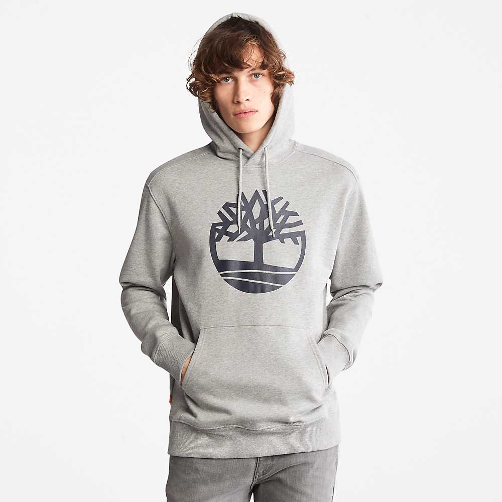 Men's Timberland Core Tree Logo Hoodie Grey | UAE-0542163