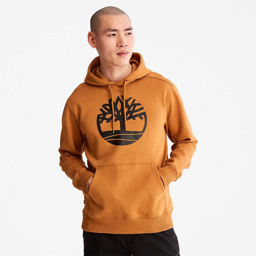 Men's Timberland Core Tree Logo Hoodie Yellow | UAE-7961548