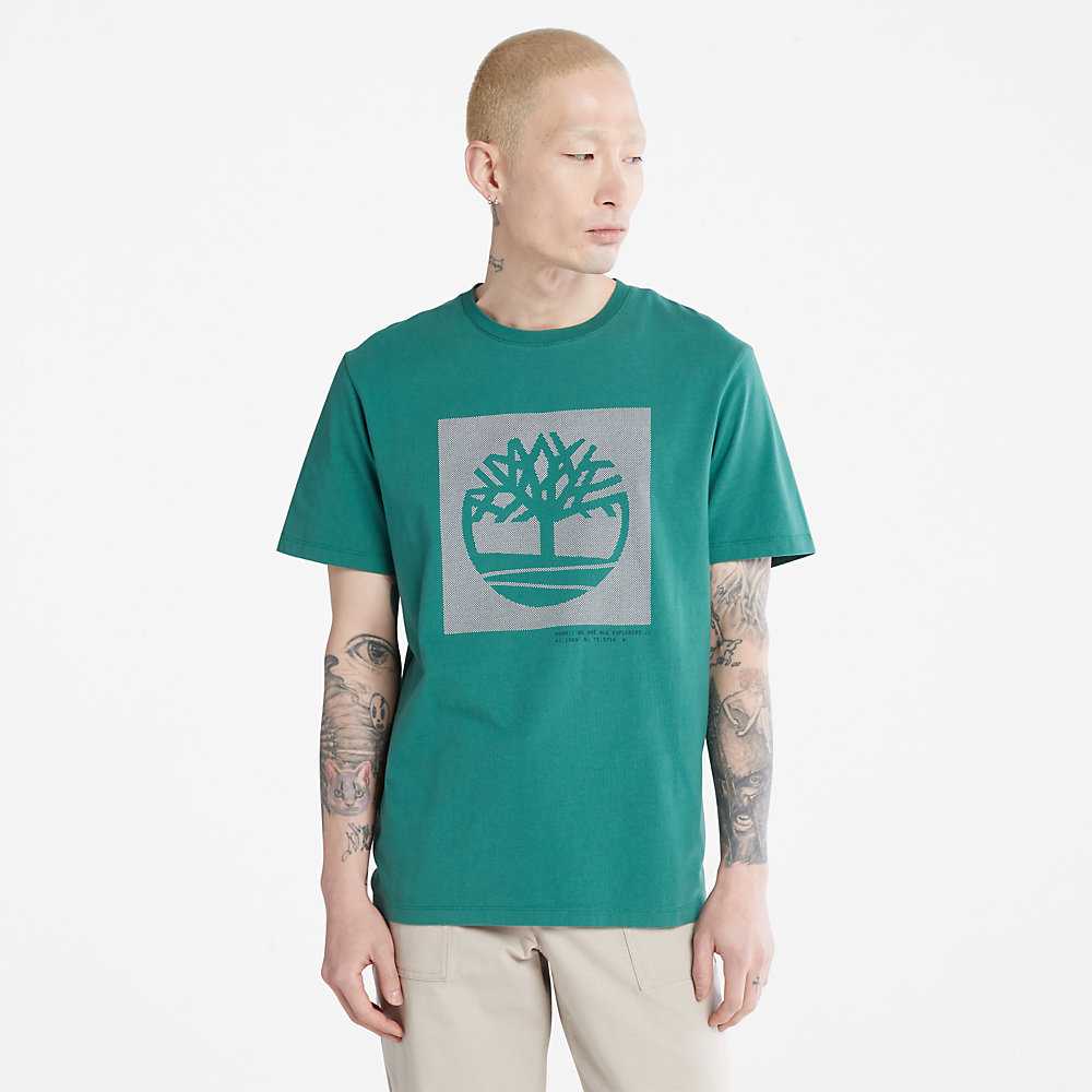 Men's Timberland Dotted Tree-logo T Shirts Green | UAE-3967215