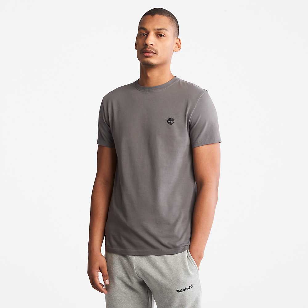 Men's Timberland Dunstan River T Shirts Grey | UAE-1653097