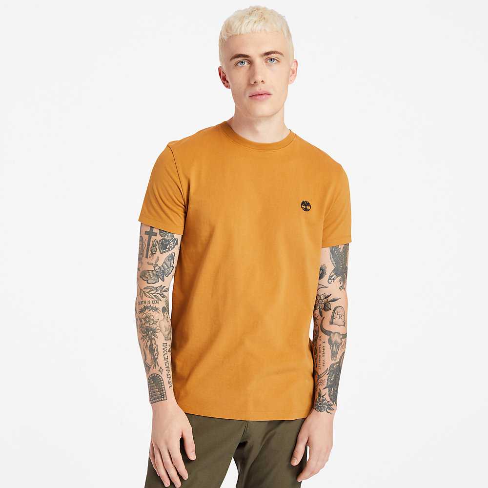 Men's Timberland Dunstan River T Shirts Yellow | UAE-1850976