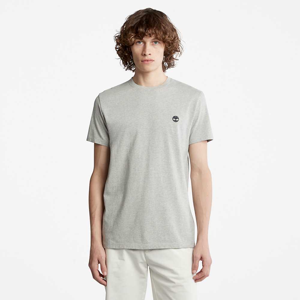 Men's Timberland Dunstan River T Shirts Grey | UAE-2586937