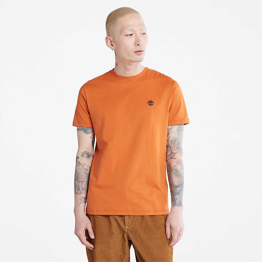 Men's Timberland Dunstan River T Shirts Orange | UAE-6731459