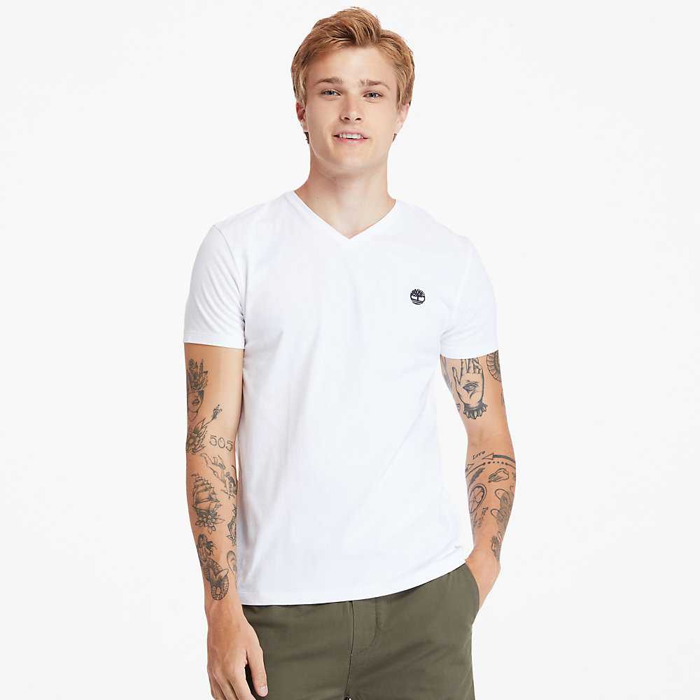 Men's Timberland Dunstan River T Shirts White | UAE-7546231