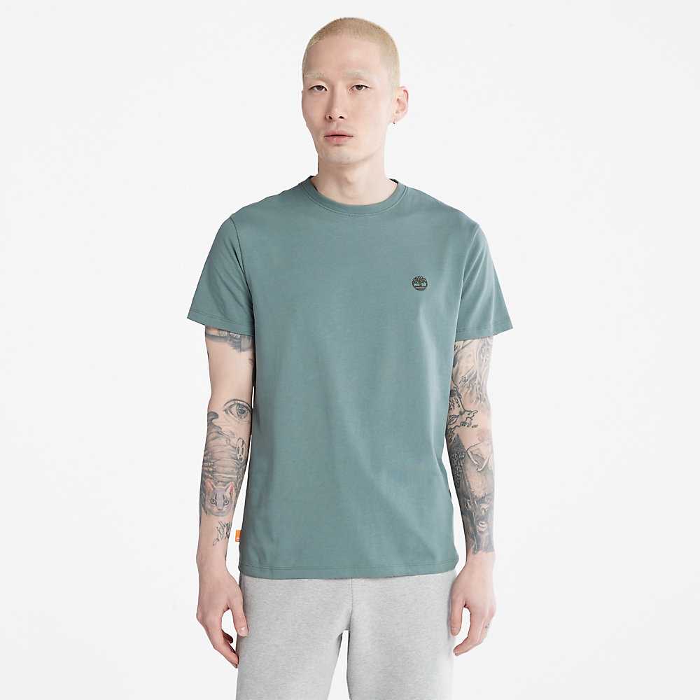 Men's Timberland Dunstan River T Shirts Green | UAE-8379165