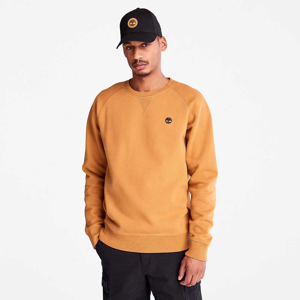 Men's Timberland Exeter River Sweatshirt Yellow | UAE-6705149