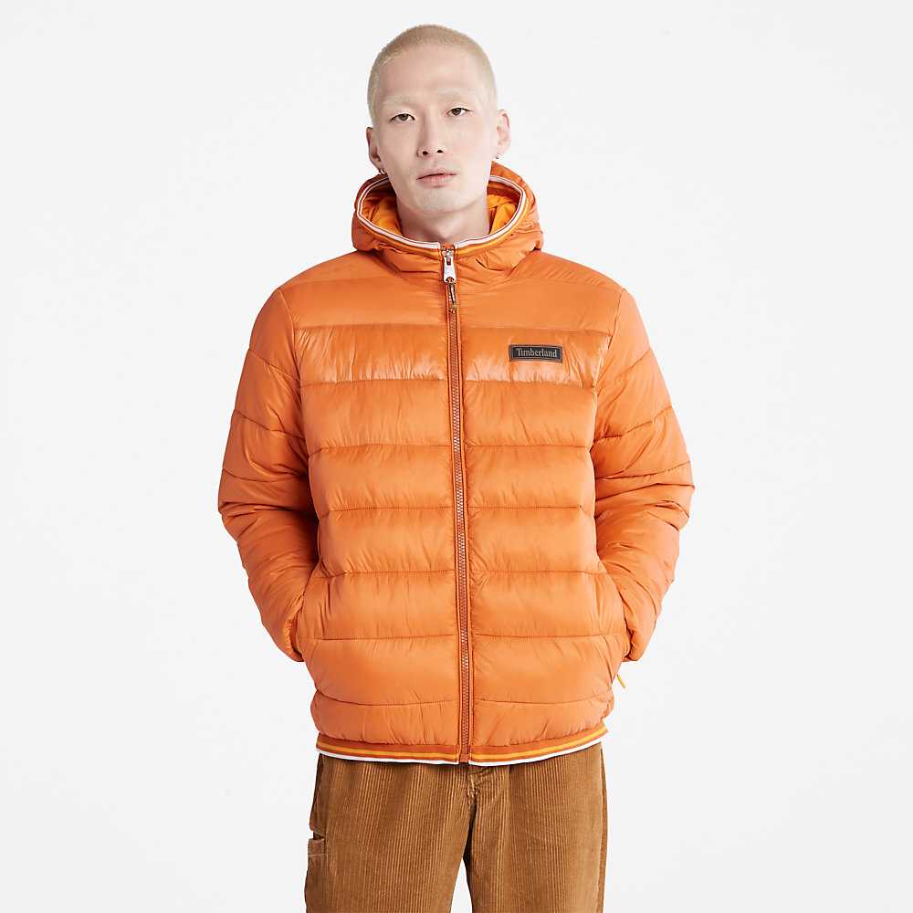 Men's Timberland Garfield Down Jackets Orange | UAE-3962174