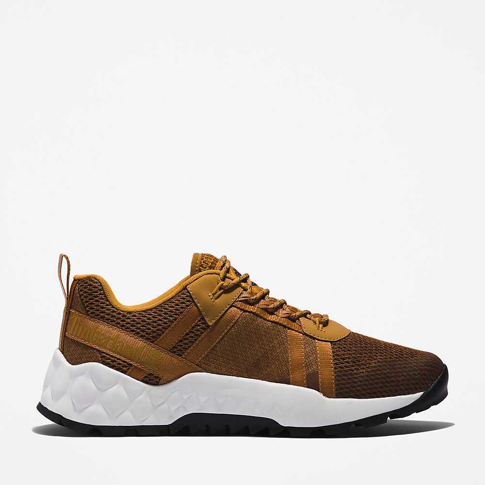 Men's Timberland GreenStride™ Solar Wave Sneakers Brown | UAE-6847239