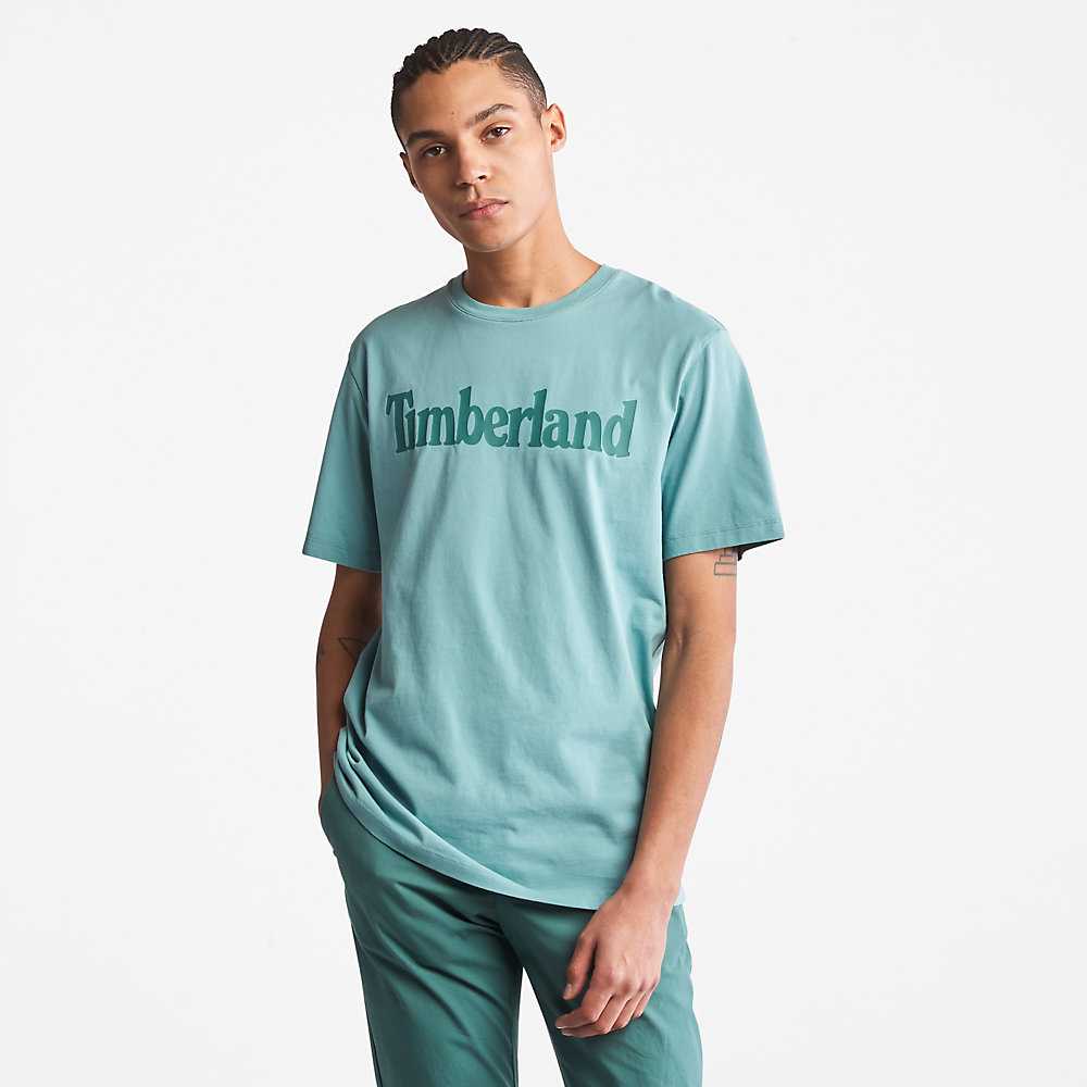 Men's Timberland Kennebec River T Shirts Turquoise | UAE-0965348