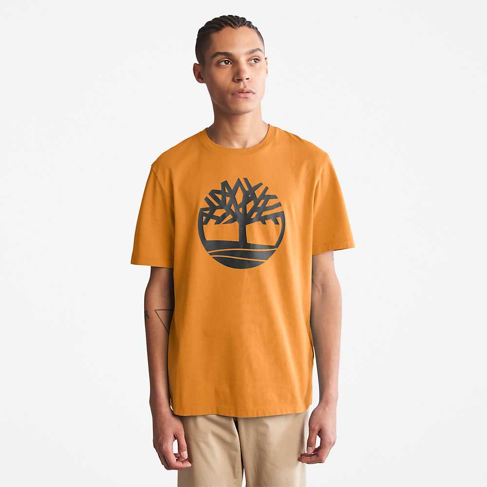 Men's Timberland Kennebec River T Shirts Yellow | UAE-1354096