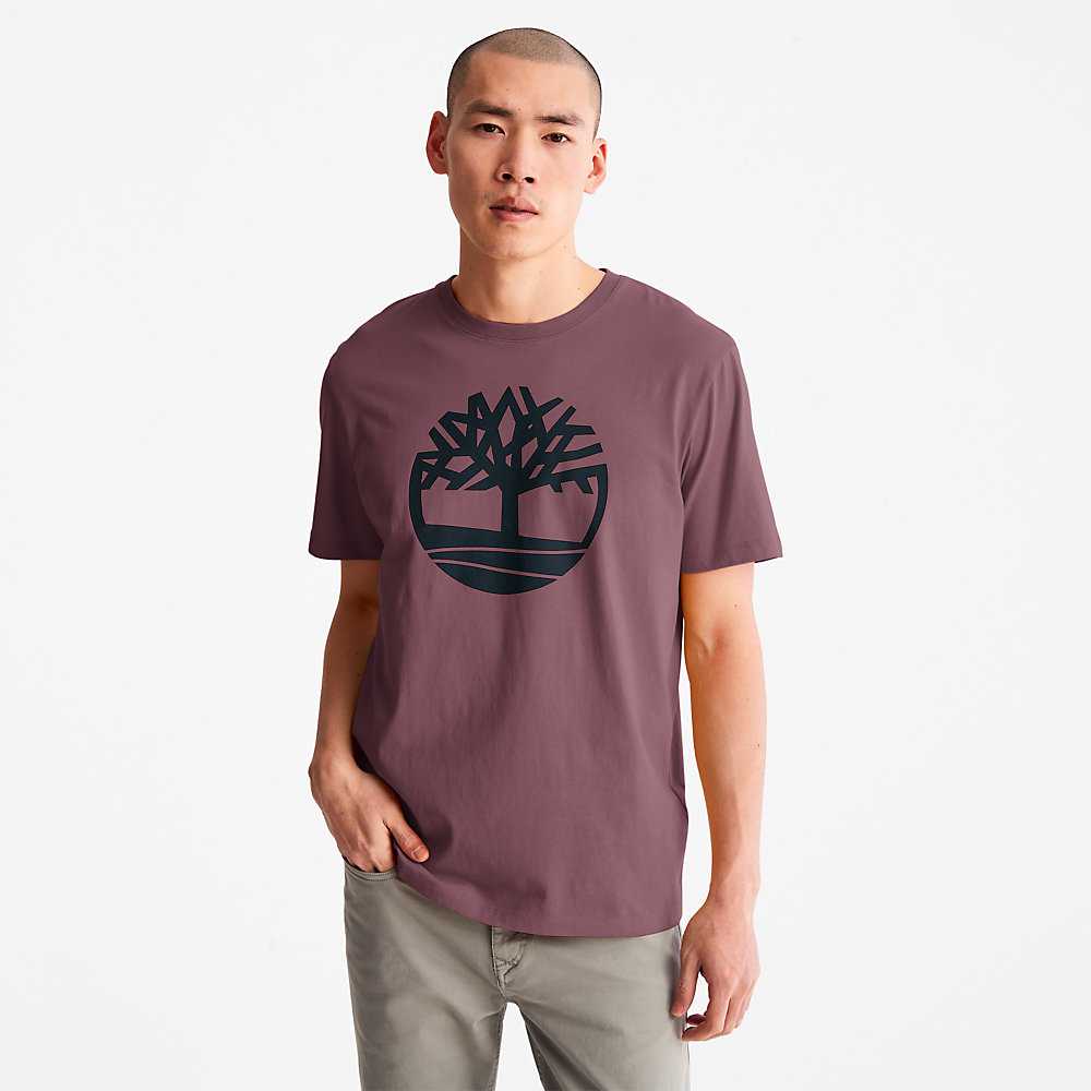 Men's Timberland Kennebec River T Shirts Purple | UAE-7980312