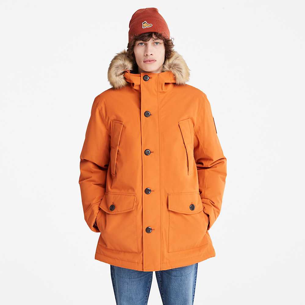 Men's Timberland Scar Ridge Parka Jackets Orange | UAE-8906753