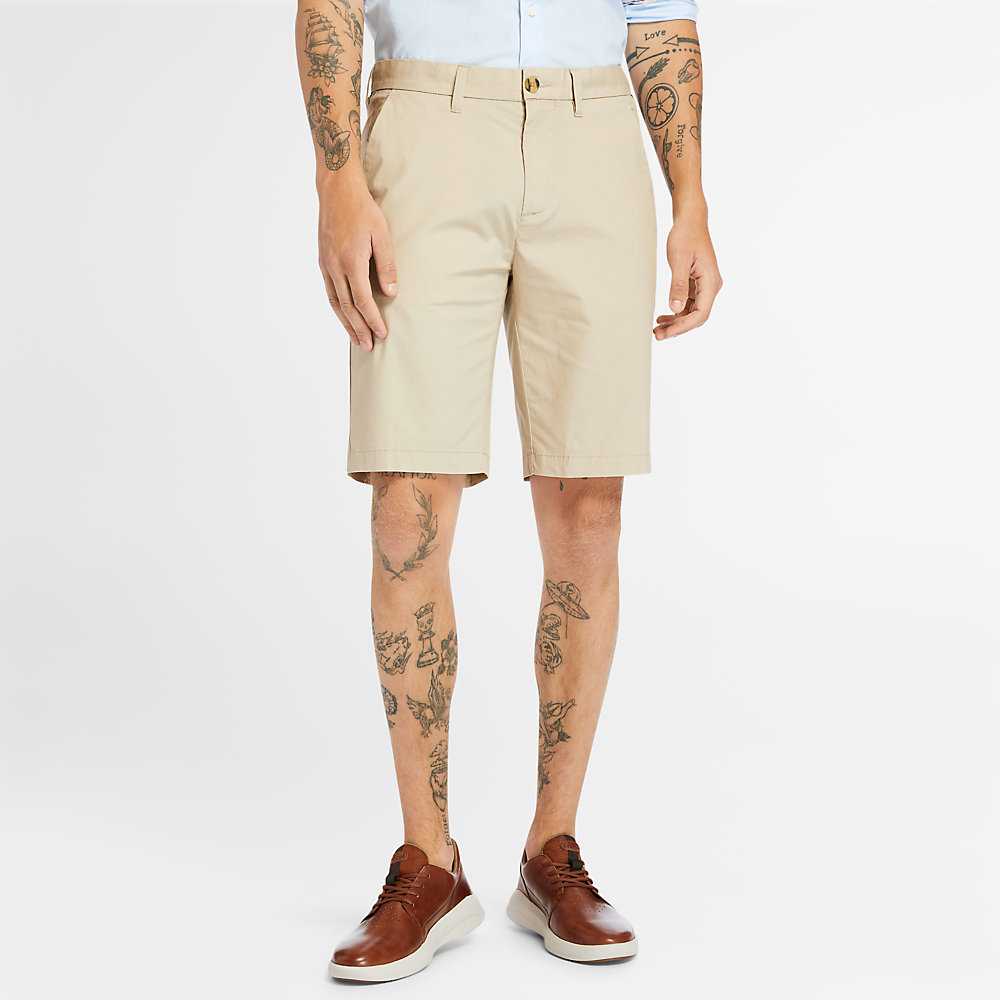 Men's Timberland Squam Lake Shorts Beige | UAE-6278149