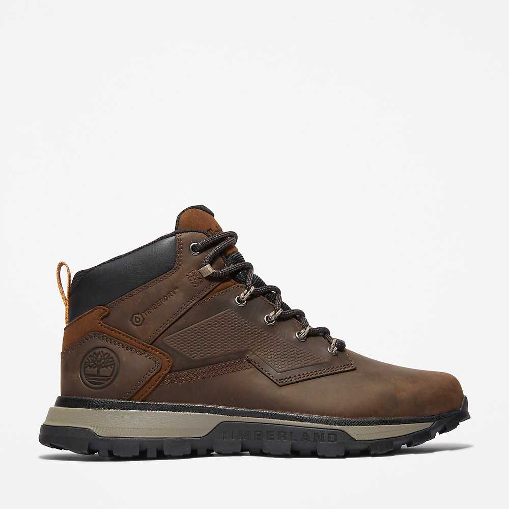 Men's Timberland Treeline Hiking Boots Dark Brown | UAE-8679051