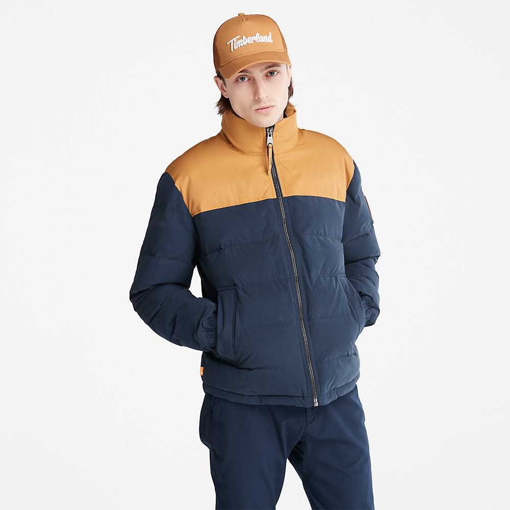 Men's Timberland Welch Mountain Down Jackets Navy | UAE-2769308