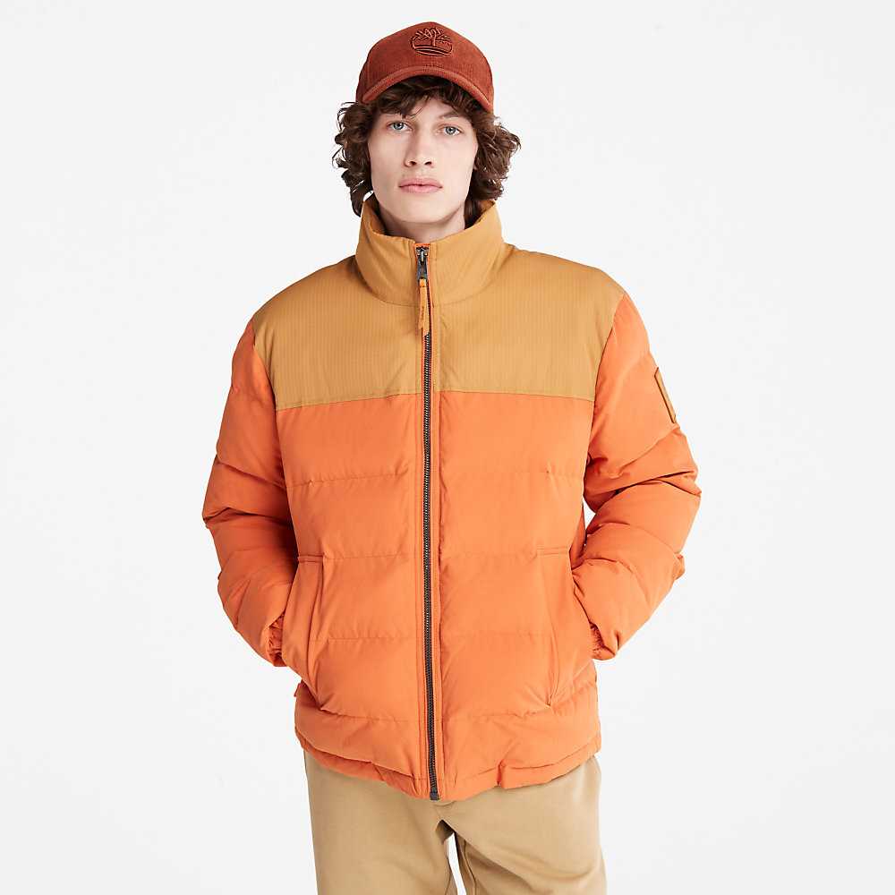 Men's Timberland Welch Mountain Down Jackets Light Brown | UAE-5629730