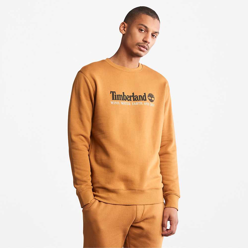 Men's Timberland Wind Water Earth And Sky Sweatshirt Yellow | UAE-8961352