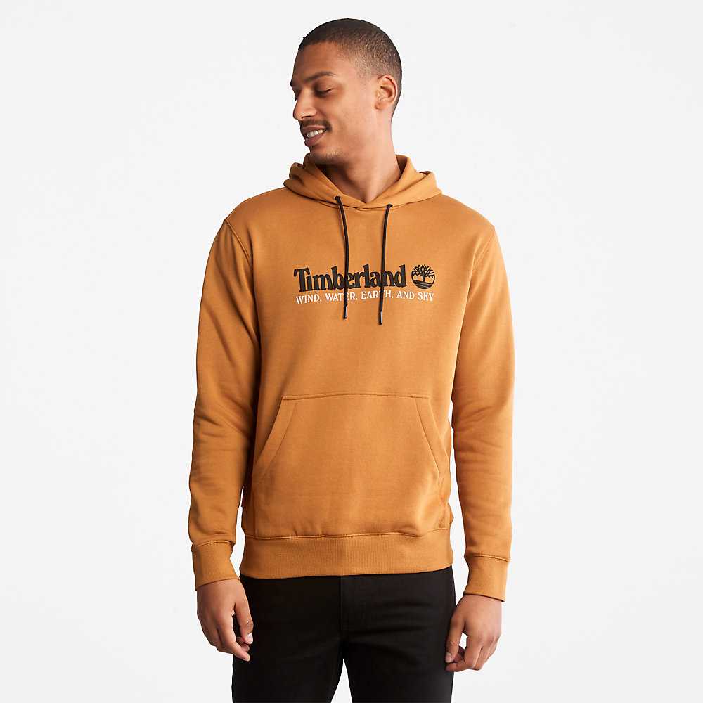 Men's Timberland Wind Water Earth And Sky Hoodie Brown | UAE-9635041