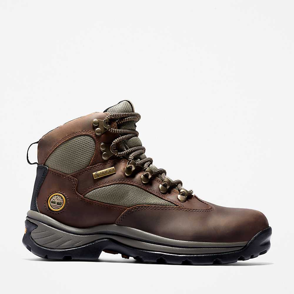 Women's Timberland Chocorua Gore-Tex® Hiking Boots Brown | UAE-9053846